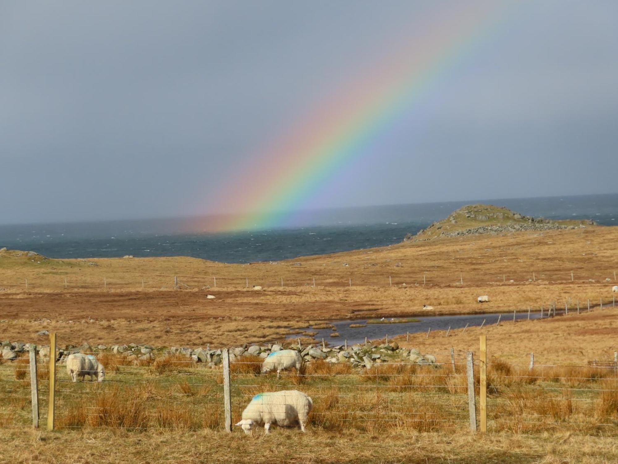 Squealing Pig Bothy Villa Barvas ภายนอก รูปภาพ