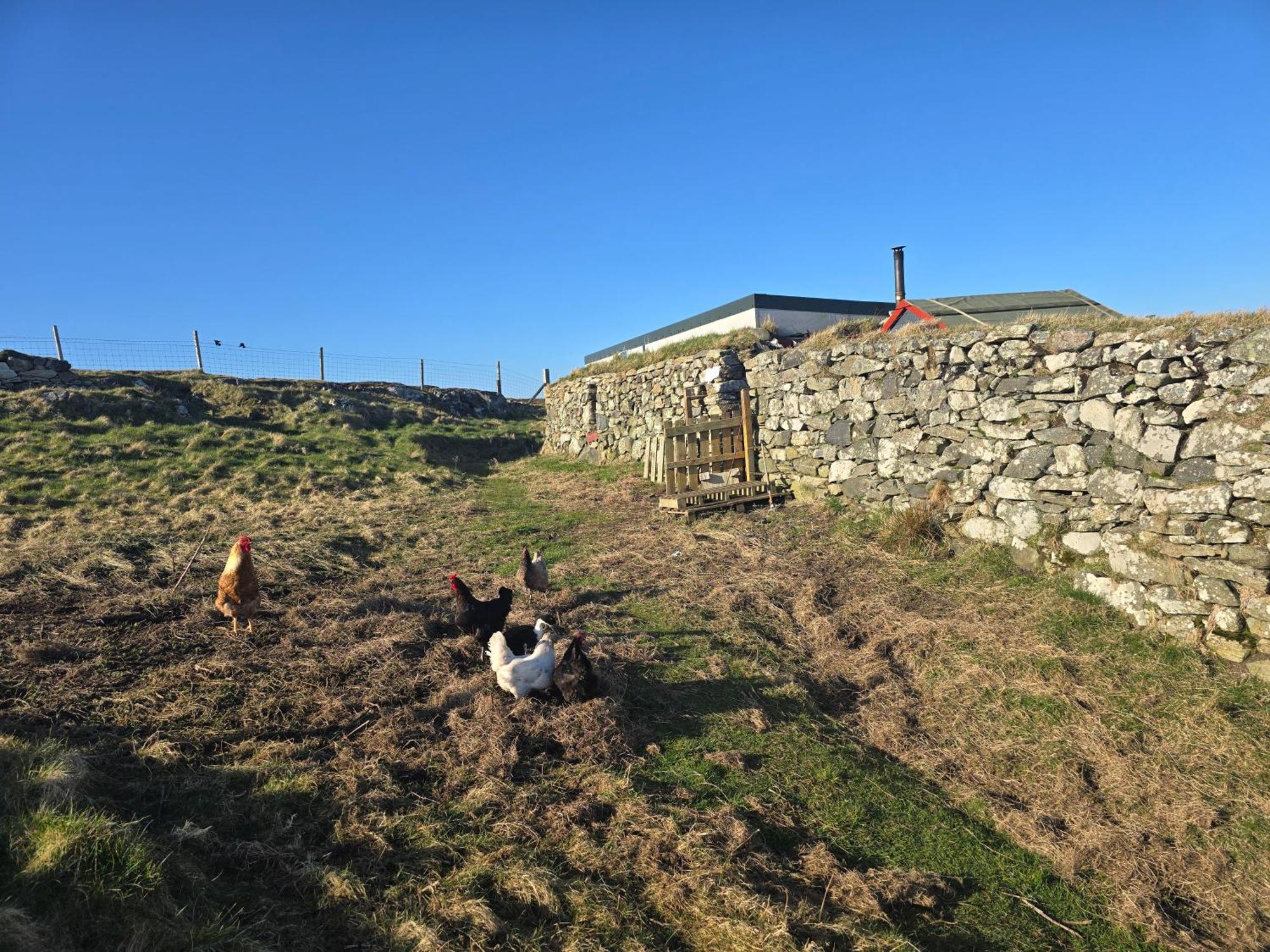 Squealing Pig Bothy Villa Barvas ภายนอก รูปภาพ